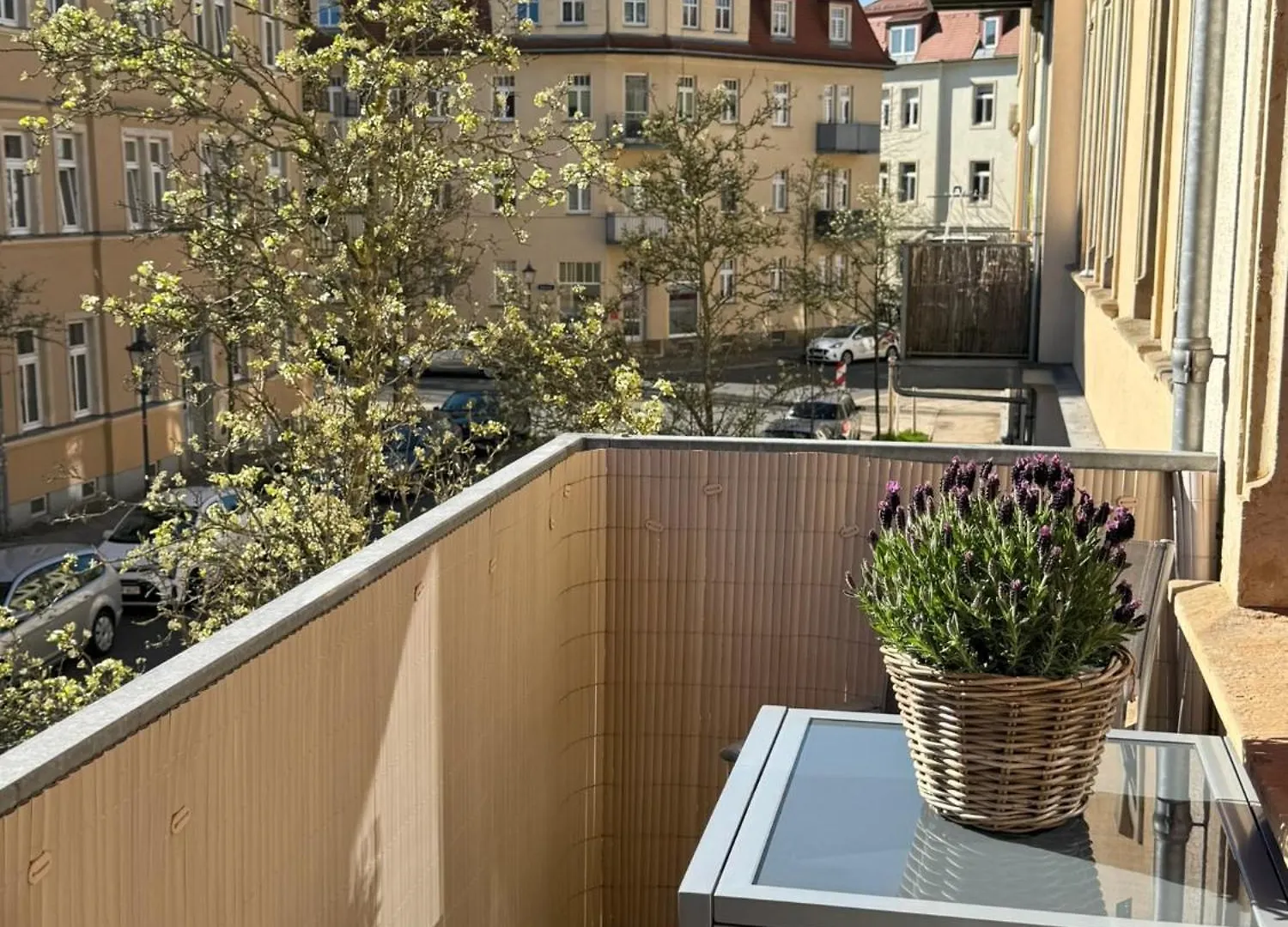 Elbdreams Cozy Design Apartment Dresden